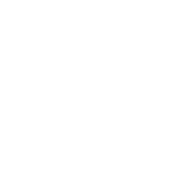 Strong Charities - Imagine Canada
