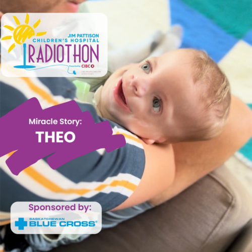Miracle Story Theo